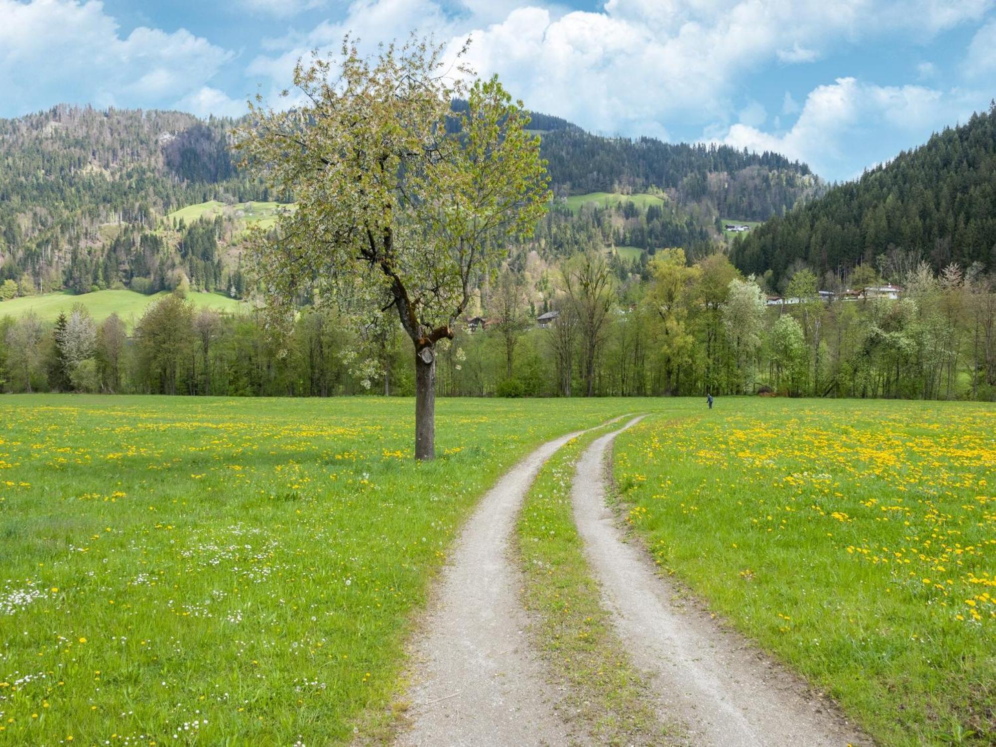 Property In Kirchbichl Exterior photo